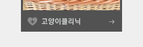 고양이클리닉